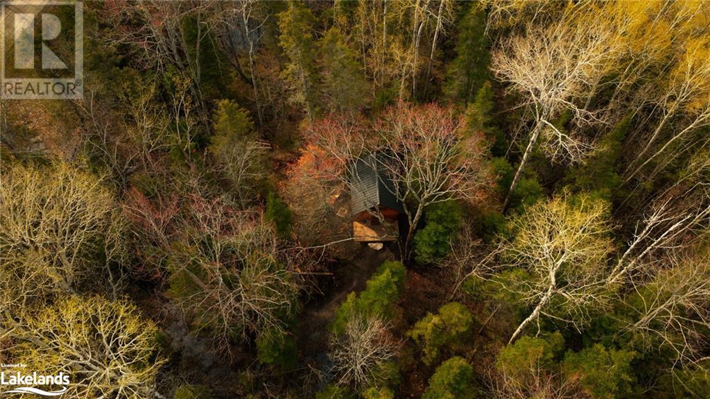 81 High Falls Road, Assikinack, Ontario  P0P 1N0 - Photo 2 - 40590334