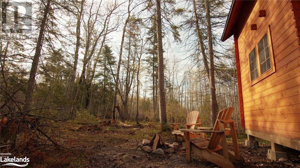 81 High Falls Road, Assikinack, Ontario  P0P 1N0 - Photo 29 - 40590334
