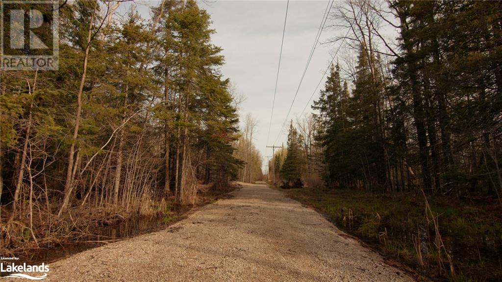 81 High Falls Road, Assikinack, Ontario  P0P 1N0 - Photo 31 - 40590334
