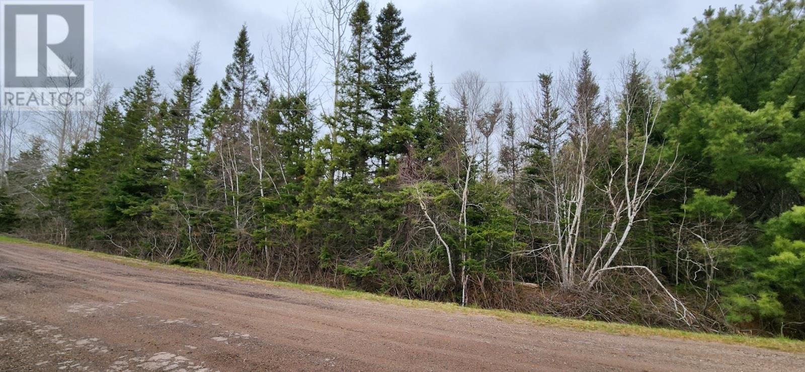 Lot 2 Acreage Mill Road, Bridgetown, Prince Edward Island  C0A 1G0 - Photo 12 - 202409151