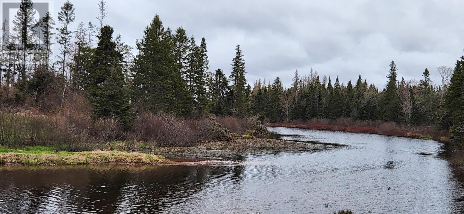 Lot 2 Acreage Mill Road, Bridgetown, Prince Edward Island  C0A 1G0 - Photo 15 - 202409151