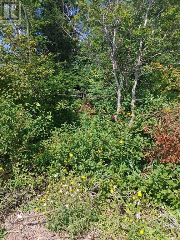 Lorem Ipsum Dol, Northern Arm, Newfoundland & Labrador  A0H  - Photo 3 - DEMO26905172
