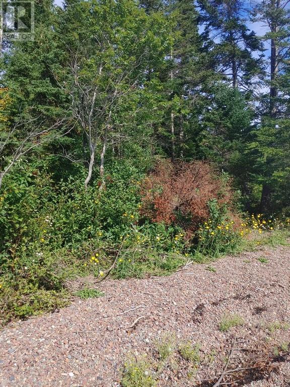 Lorem Ipsum Dol, Northern Arm, Newfoundland & Labrador  A0H  - Photo 5 - DEMO26905172