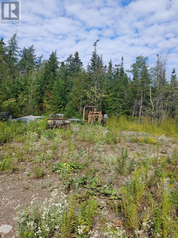 Lorem Ipsum Dol, Northern Arm, Newfoundland & Labrador  A0H  - Photo 6 - DEMO26905172