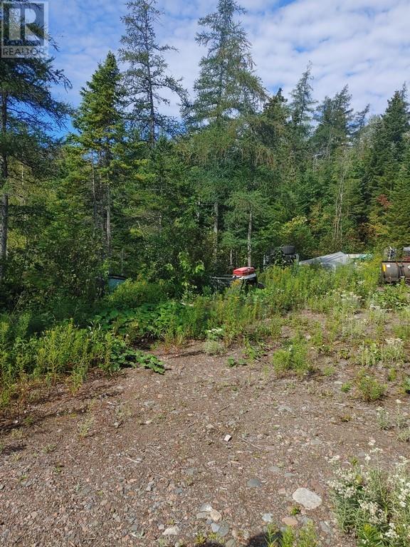 Lorem Ipsum Dol, Northern Arm, Newfoundland & Labrador  A0H  - Photo 7 - DEMO26905172