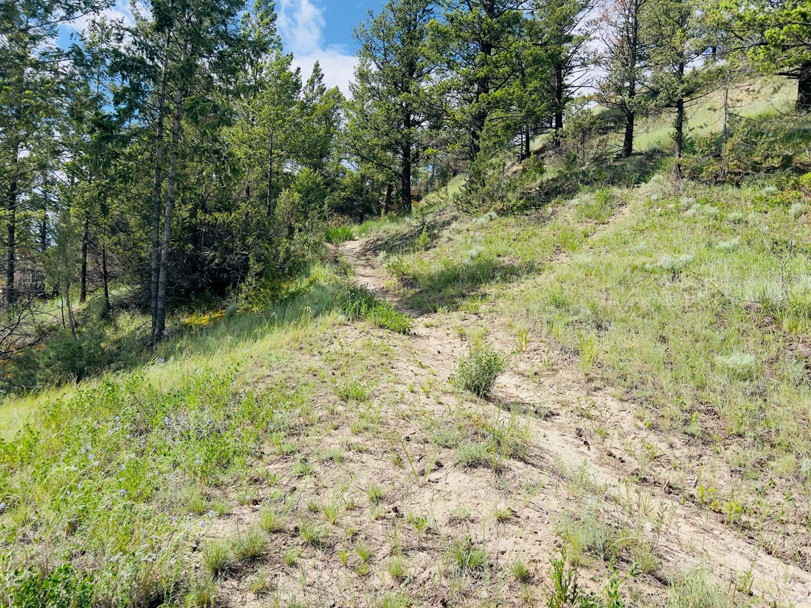 636 Taynton Drive, Invermere, British Columbia  V0A 1K5 - Photo 14 - 2477017