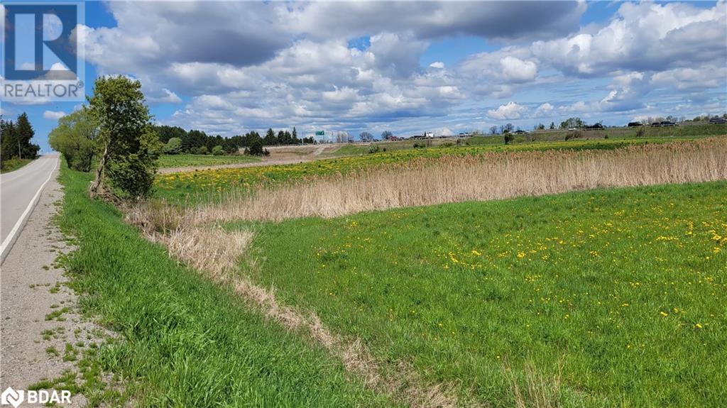 3568 4th Line, Bradford West Gwillimbury, Ontario  L3Z 2L7 - Photo 11 - 40522572