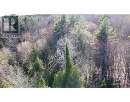 Lot 6 CONCESSION 8 ROAD