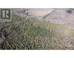 Lot 6 CONCESSION 8 ROAD