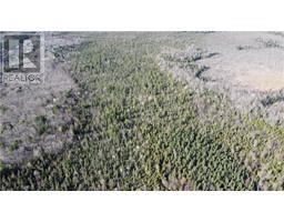 Lot 6 CONCESSION 8 ROAD