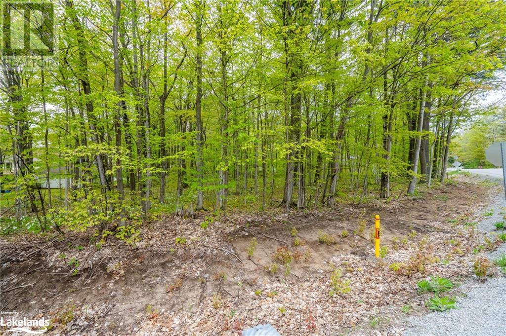 Lot 558 Forest Circle, Simcoe, Ontario  L9M 0H7 - Photo 6 - 40590494