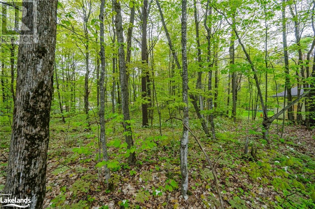 Lot 558 Forest Circle, Simcoe, Ontario  L9M 0H7 - Photo 8 - 40590494