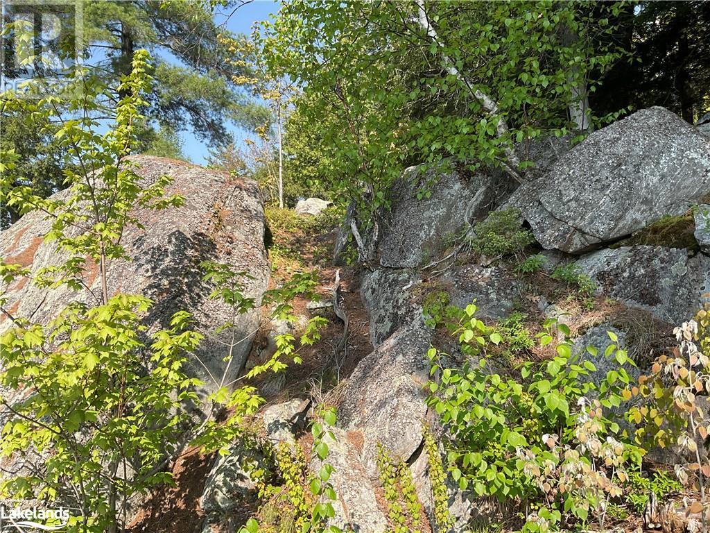 258 Victoria Lane, Arnstein, Ontario  P0H 1A0 - Photo 24 - 40590037