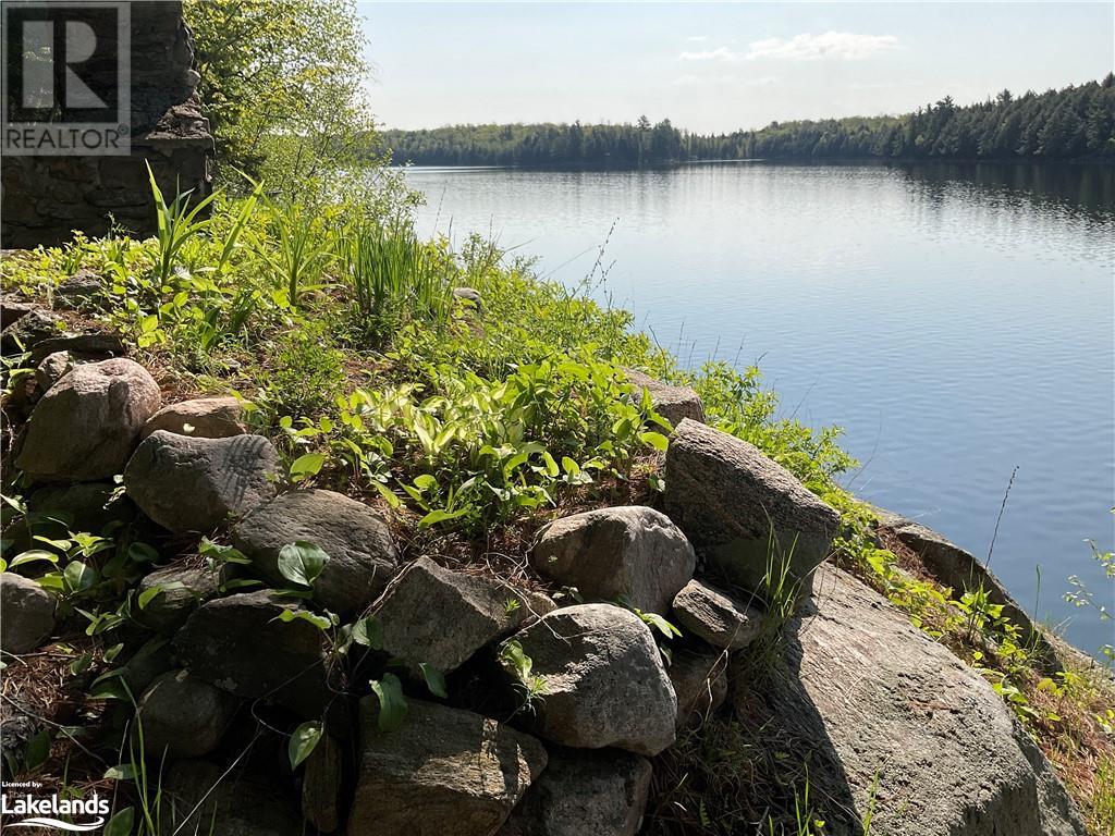258 Victoria Lane, Arnstein, Ontario  P0H 1A0 - Photo 26 - 40590037