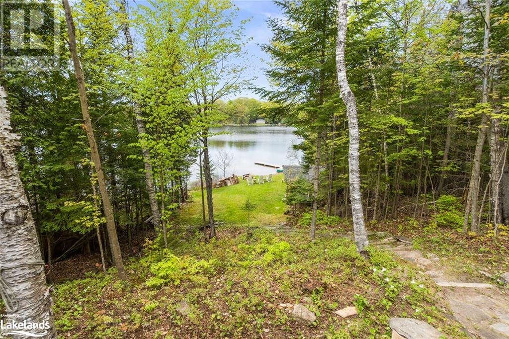 1099 Sharon Lake Drive, Minden, Ontario  K0M 2K0 - Photo 3 - 40585289