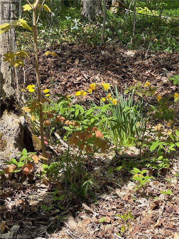 270 Barney's Boulevard, Northern Bruce Peninsula, Ontario  N0H 1Z0 - Photo 39 - 40589923