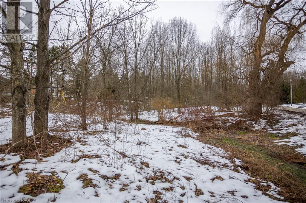 791 23rd Street W, Owen Sound, Ontario  N4K 4H4 - Photo 11 - 40589641