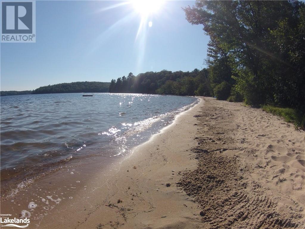 572 Ferguson Road, Katrine, Ontario  P0A 1L0 - Photo 8 - 40588791