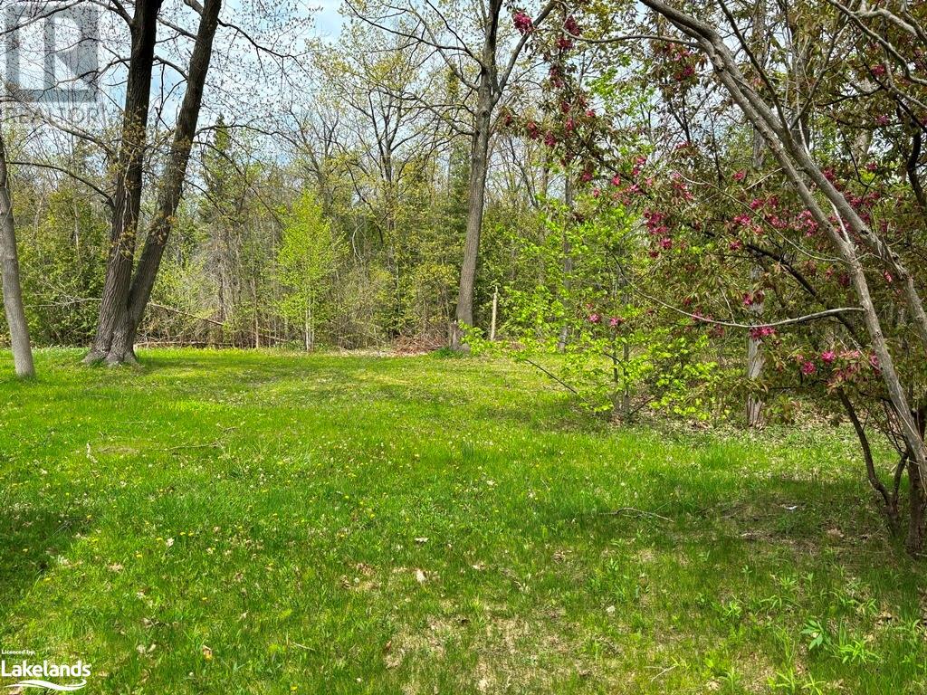 14065 The King's Highway No 12, Waubaushene, Ontario  L0K 2C0 - Photo 13 - 40589633