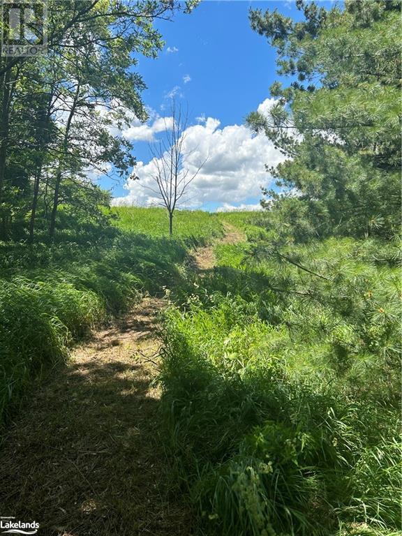 Lot 29 5th Line E, Mulmur, Ontario  L9V 0J8 - Photo 4 - 40588903