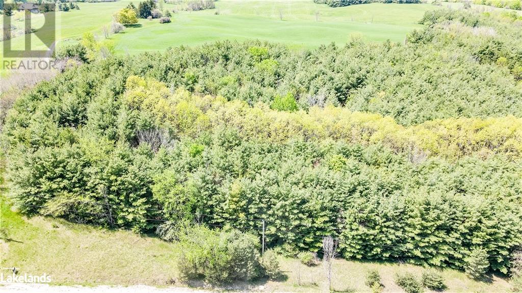 Lot 29 5th Line E, Mulmur, Ontario  L9V 0J8 - Photo 8 - 40588903