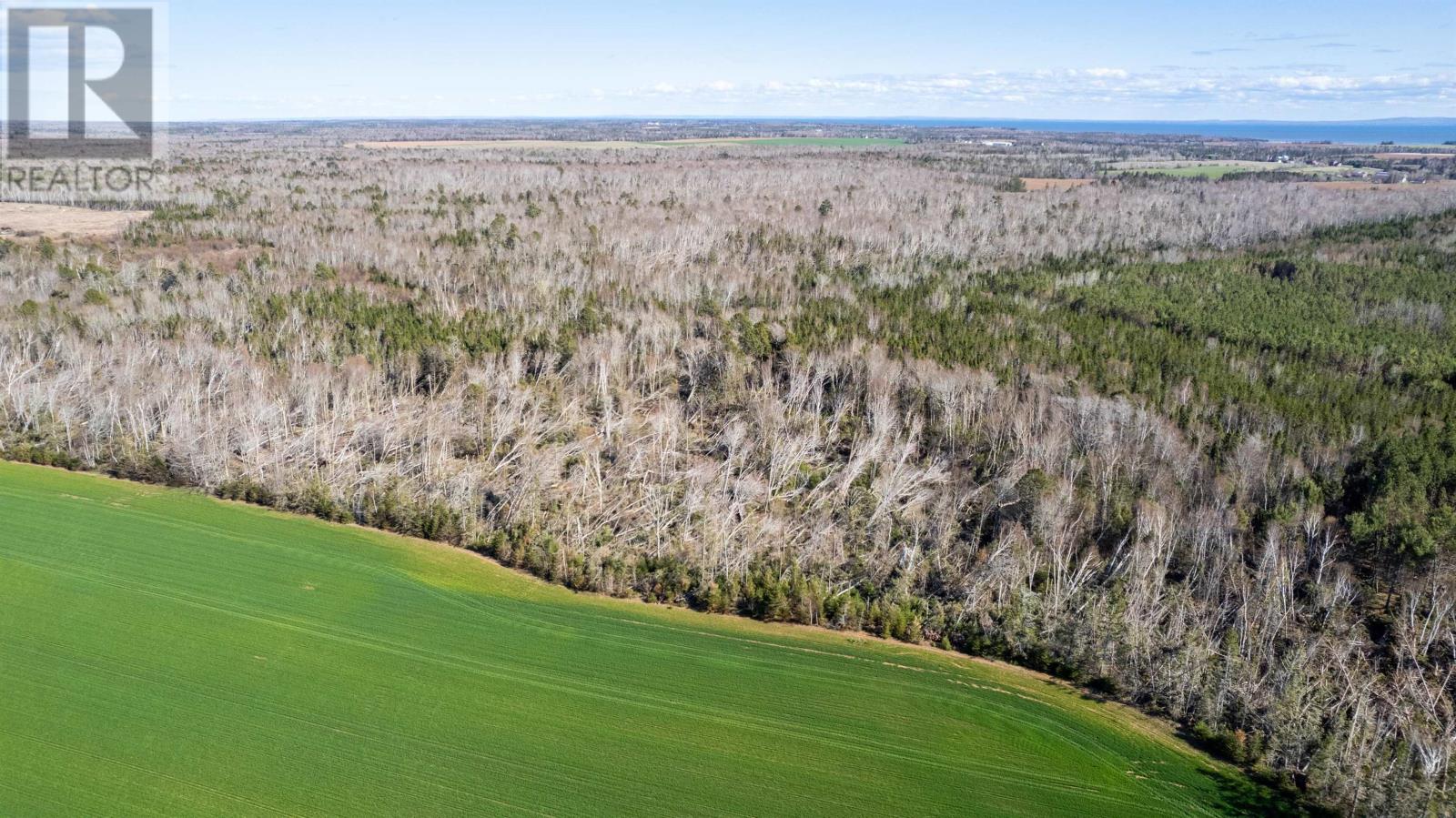 Lot High Road, South Pinette, Prince Edward Island  C0A 1R0 - Photo 13 - 202309534