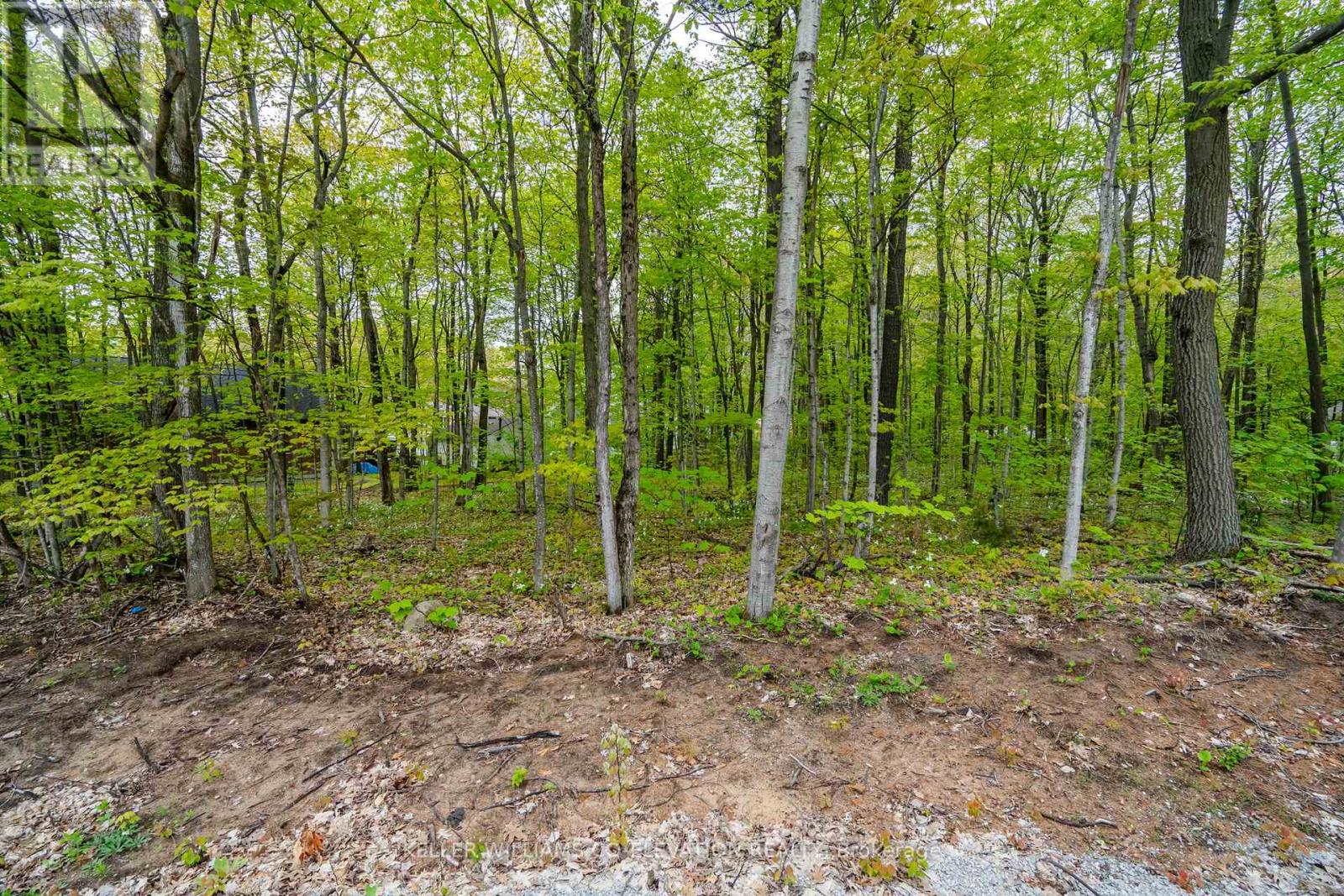 Lot 558 Forest Circle, Tiny, Ontario  L9M 0H7 - Photo 7 - S8348346
