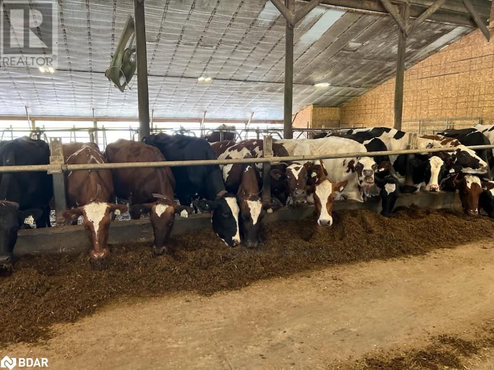 2001 Sideroad 15/16 E, Hawkestone, Ontario  L0L 1T0 - Photo 7 - 40588071