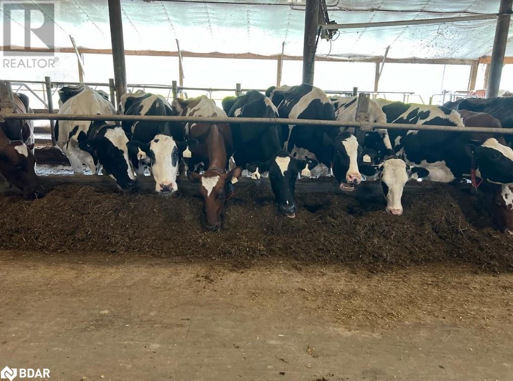 2001 Sideroad 15/16 E, Hawkestone, Ontario  L0L 1T0 - Photo 9 - 40588071