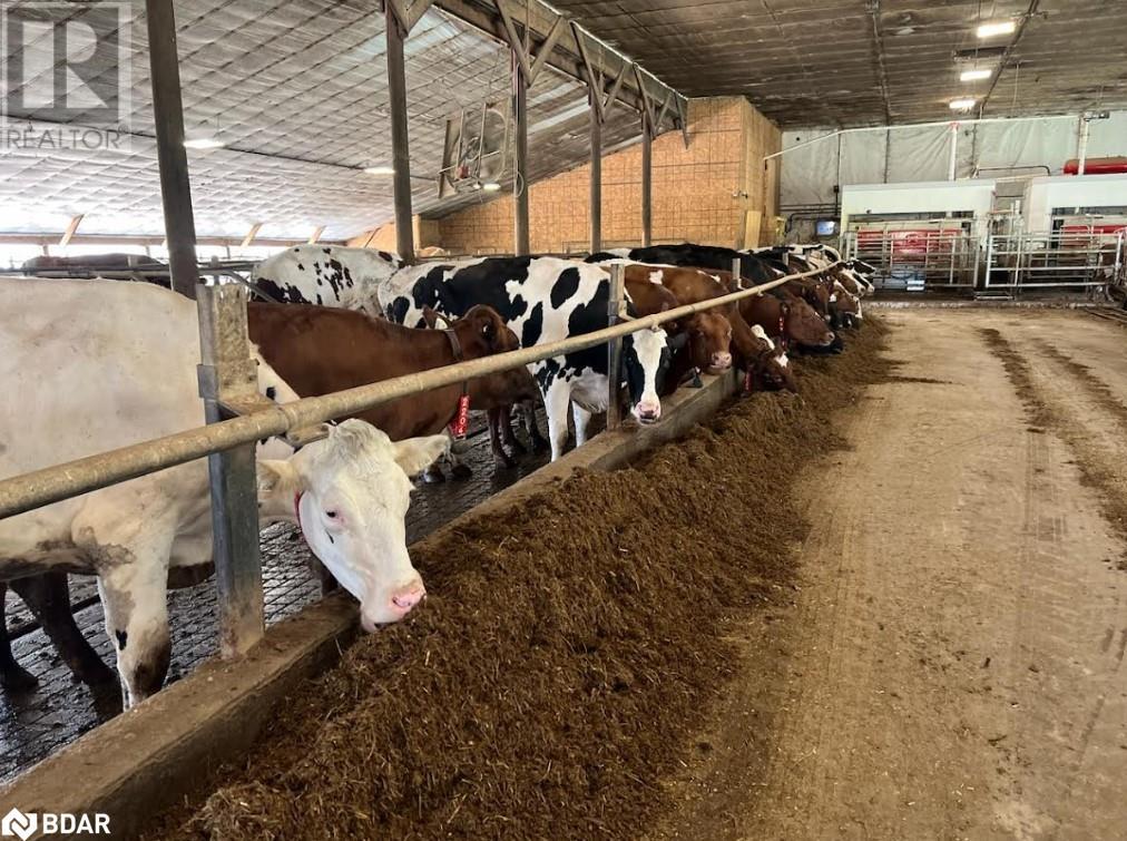 2001 Sideroad 15/16 E, Hawkestone, Ontario  L0L 1T0 - Photo 8 - 40588071