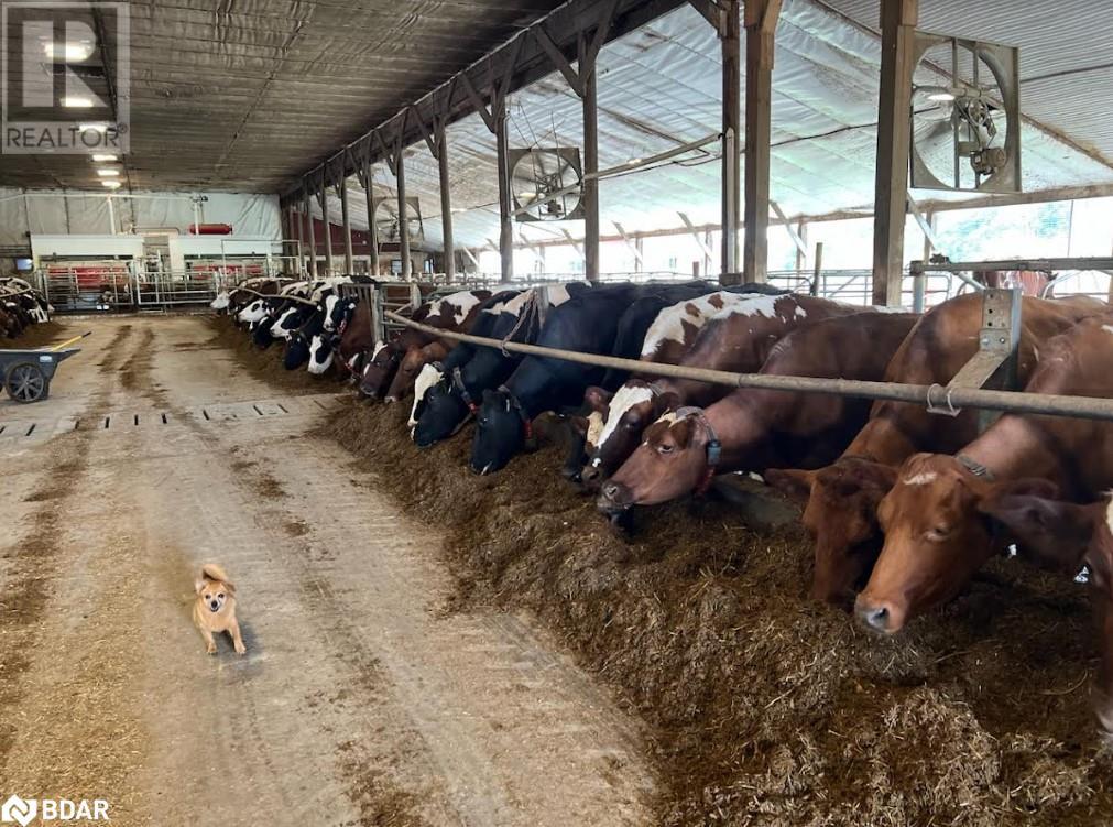 2001 Sideroad 15/16 E, Hawkestone, Ontario  L0L 1T0 - Photo 10 - 40588071