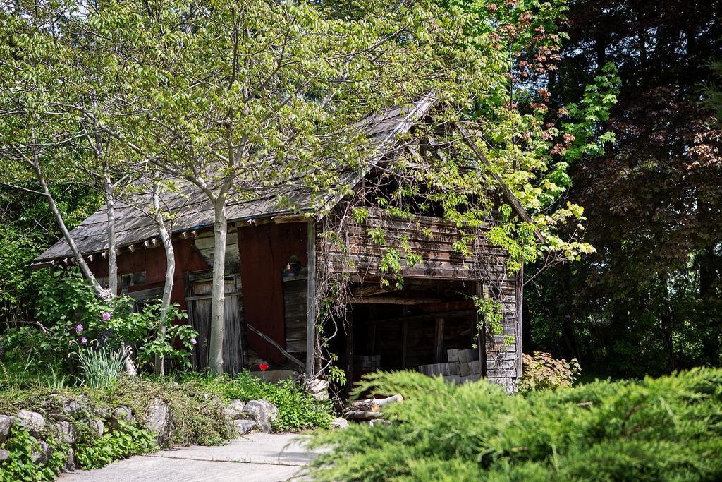 595 Valhalla Road, Nelson, British Columbia  V1L 6M6 - Photo 10 - 2477032