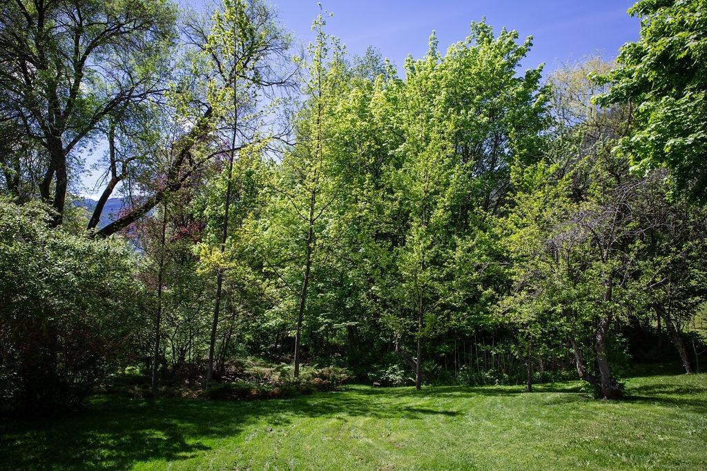 595 Valhalla Road, Nelson, British Columbia  V1L 6M6 - Photo 23 - 2477032