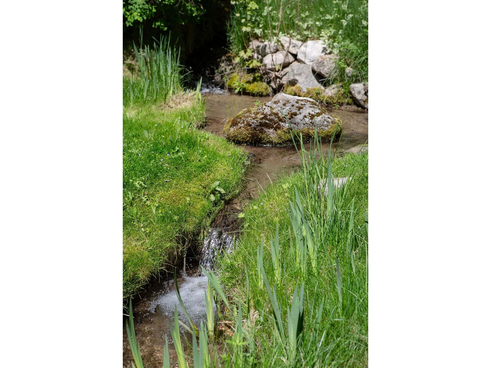 595 Valhalla Road, Nelson, British Columbia  V1L 6M6 - Photo 28 - 2477032