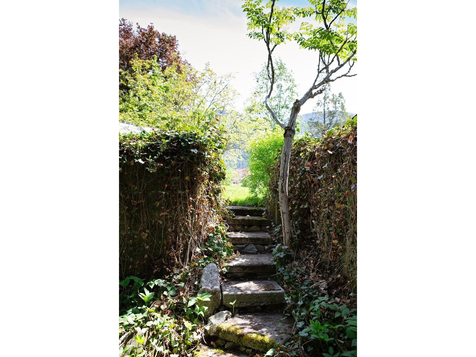 595 Valhalla Road, Nelson, British Columbia  V1L 6M6 - Photo 99 - 2477032