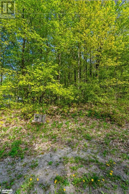Lot 41 Wakunda Crescent, Tiny, Ontario  L9M 0B2 - Photo 3 - 40590632