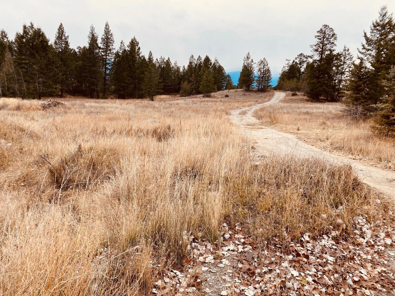 Lot 3 Lakeview Drive, Windermere, British Columbia  V0A 1K2 - Photo 20 - 2477041