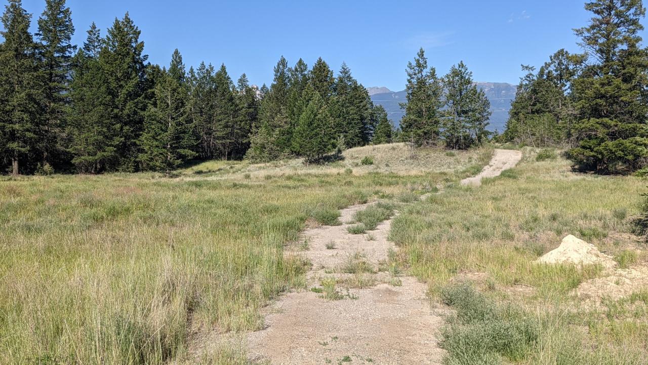 Lot 3 Lakeview Drive, Windermere, British Columbia  V0A 1K2 - Photo 8 - 2477041