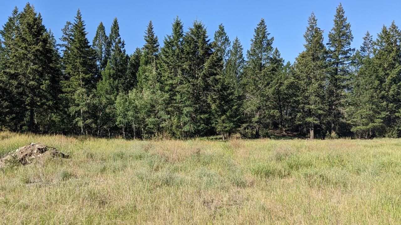 Lot 3 Lakeview Drive, Windermere, British Columbia  V0A 1K2 - Photo 9 - 2477041