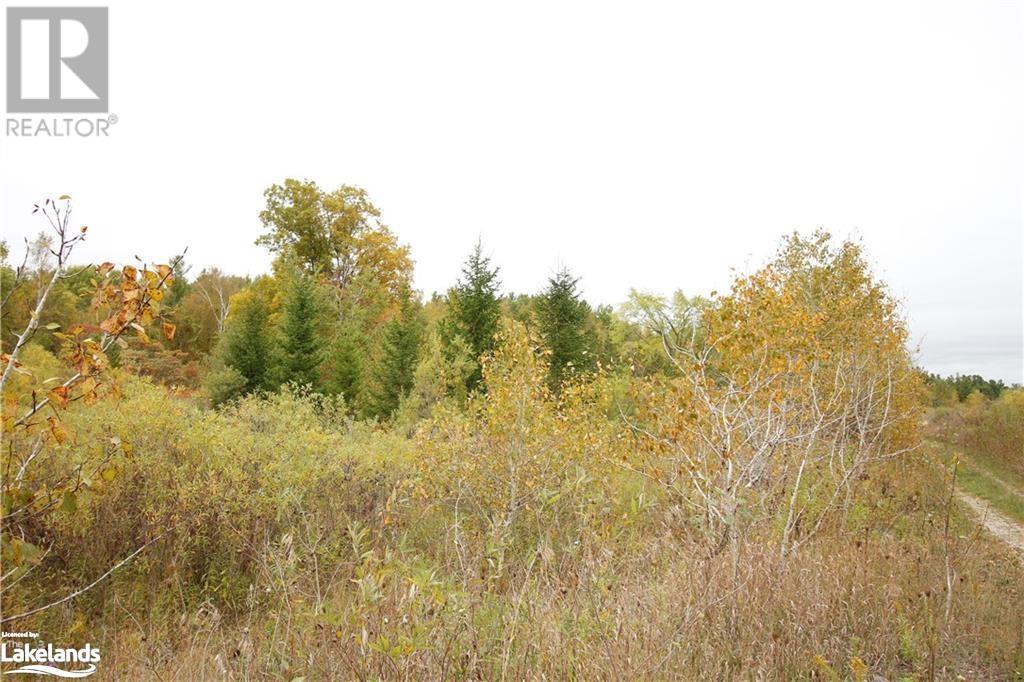 0 5 Sunnidale Concession, Clearview, Ontario  L0M 1N0 - Photo 9 - 40590062