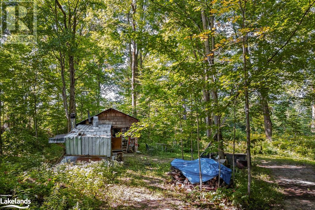 828999 Mulmur Nottawasaga Townline, Glencairn, Ontario  L0M 1K0 - Photo 23 - 40588018