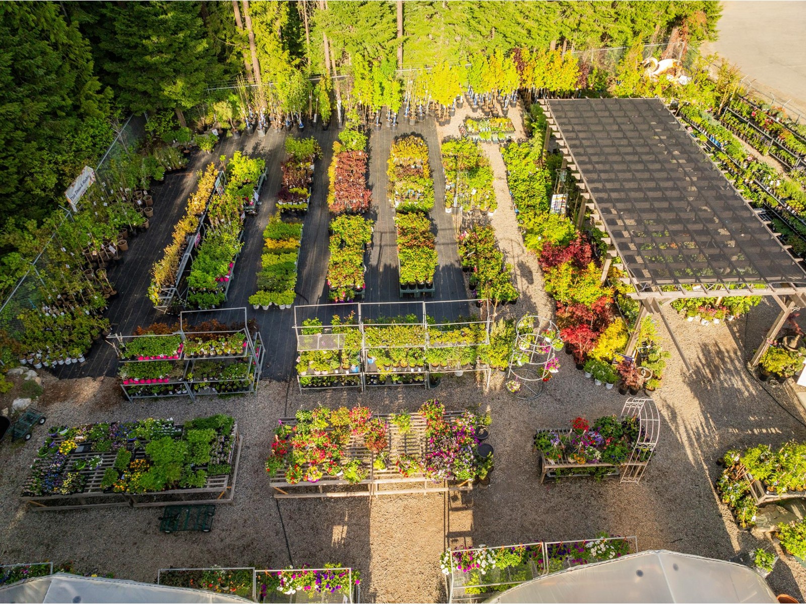 2811 Popoff Road, South Slocan To Passmore, British Columbia  V0G 2G1 - Photo 11 - 2477036