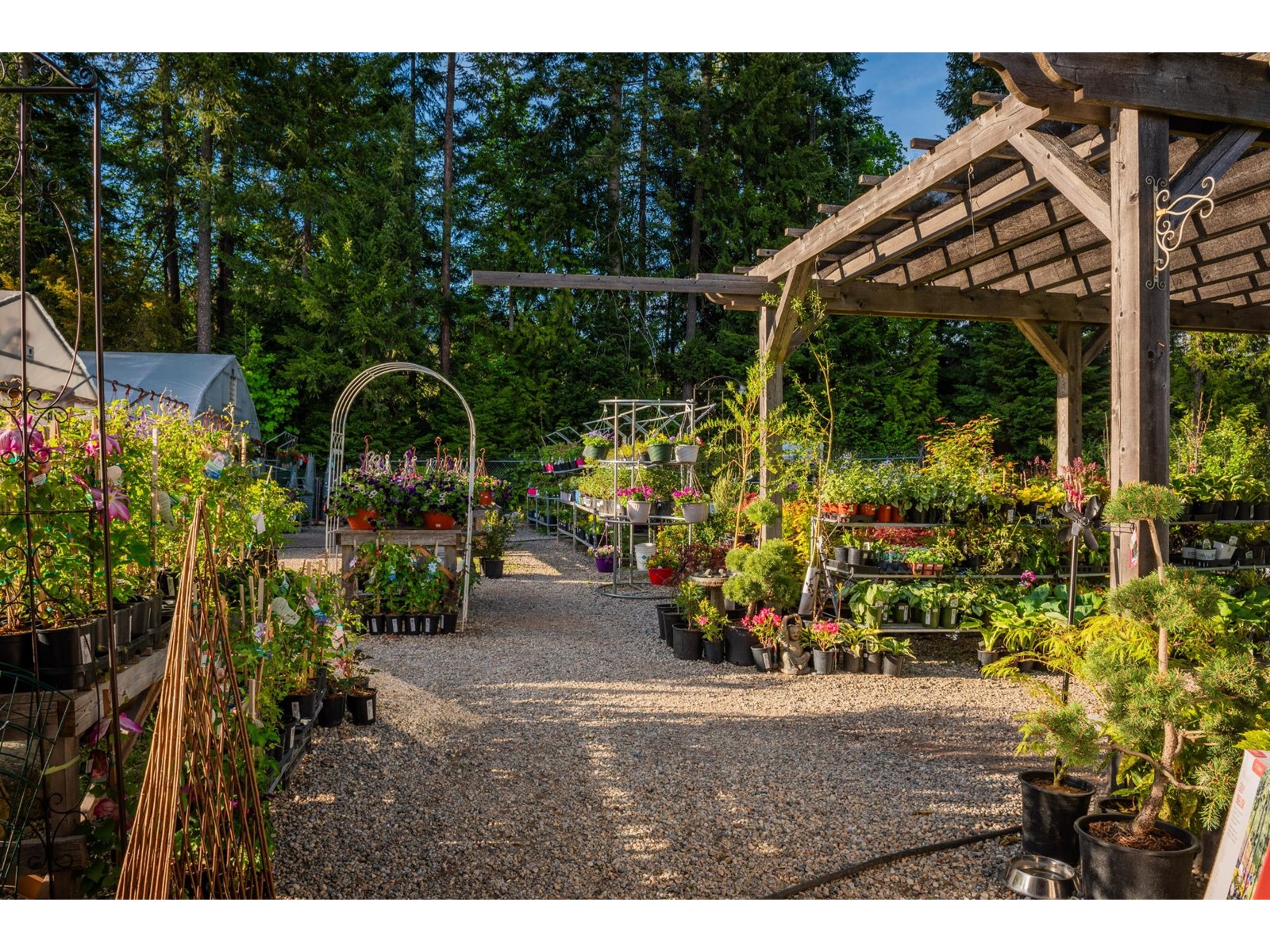 2811 Popoff Road, South Slocan To Passmore, British Columbia  V0G 2G1 - Photo 22 - 2477036