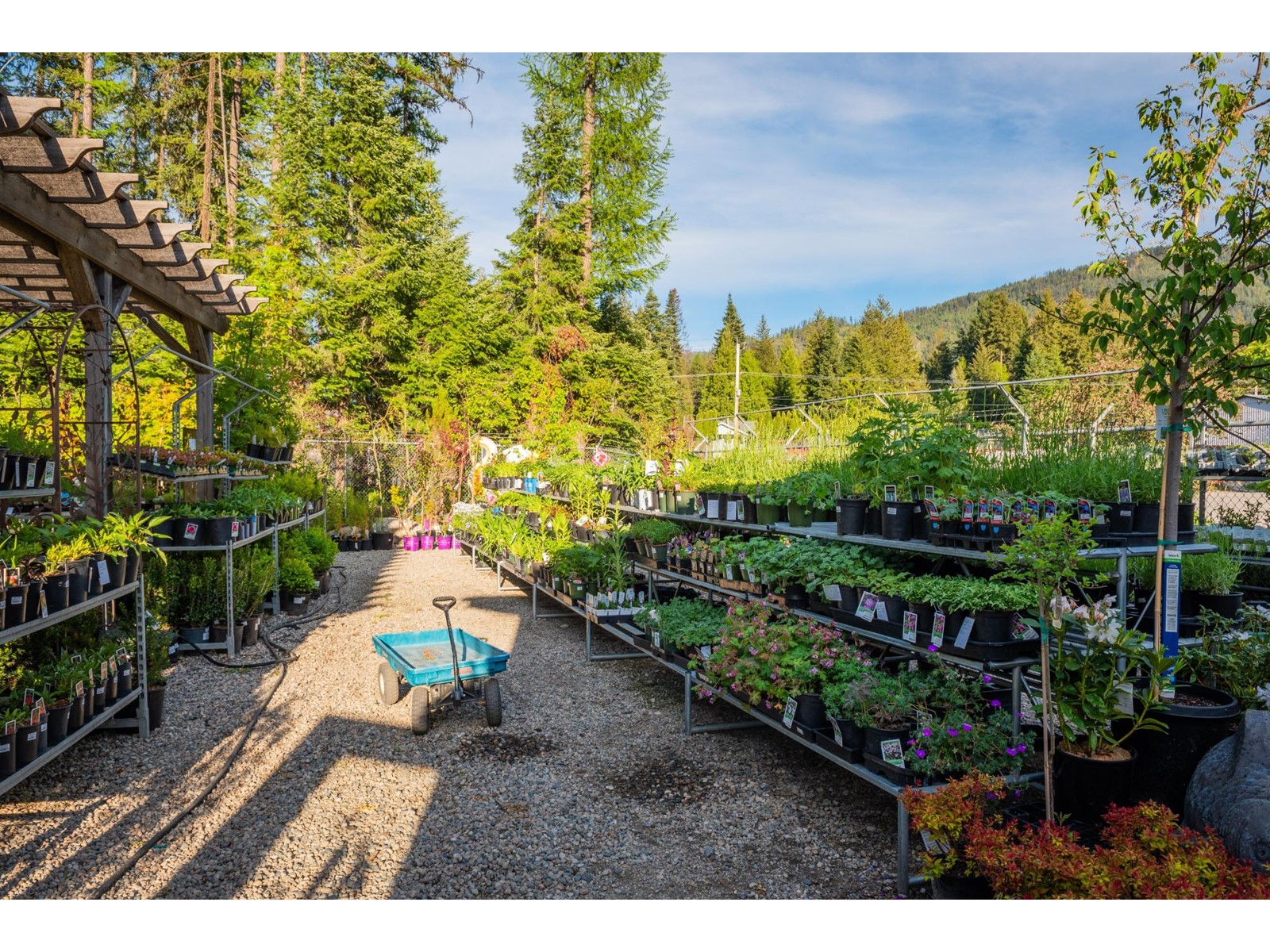 2811 Popoff Road, South Slocan To Passmore, British Columbia  V0G 2G1 - Photo 26 - 2477036