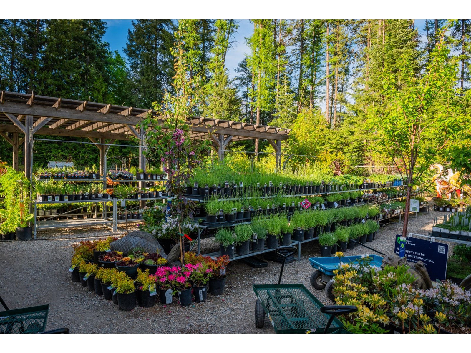 2811 Popoff Road, South Slocan To Passmore, British Columbia  V0G 2G1 - Photo 29 - 2477036