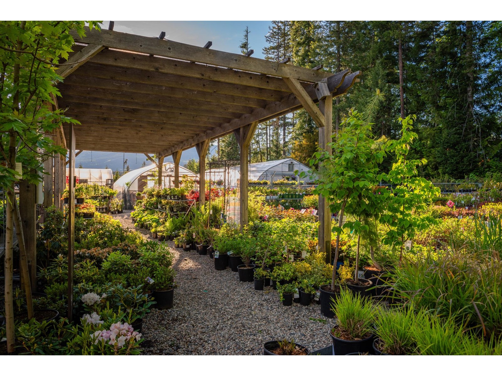 2811 Popoff Road, South Slocan To Passmore, British Columbia  V0G 2G1 - Photo 31 - 2477036