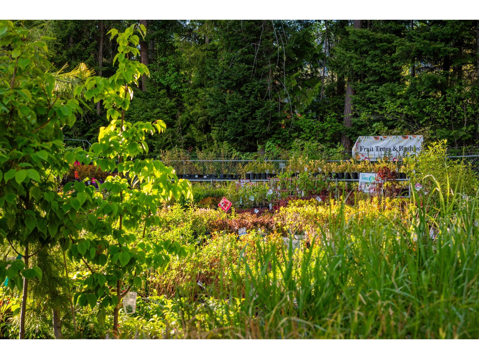 2811 Popoff Road, South Slocan To Passmore, British Columbia  V0G 2G1 - Photo 32 - 2477036