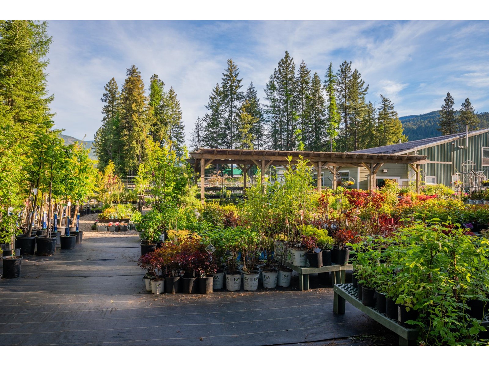 2811 Popoff Road, South Slocan To Passmore, British Columbia  V0G 2G1 - Photo 33 - 2477036