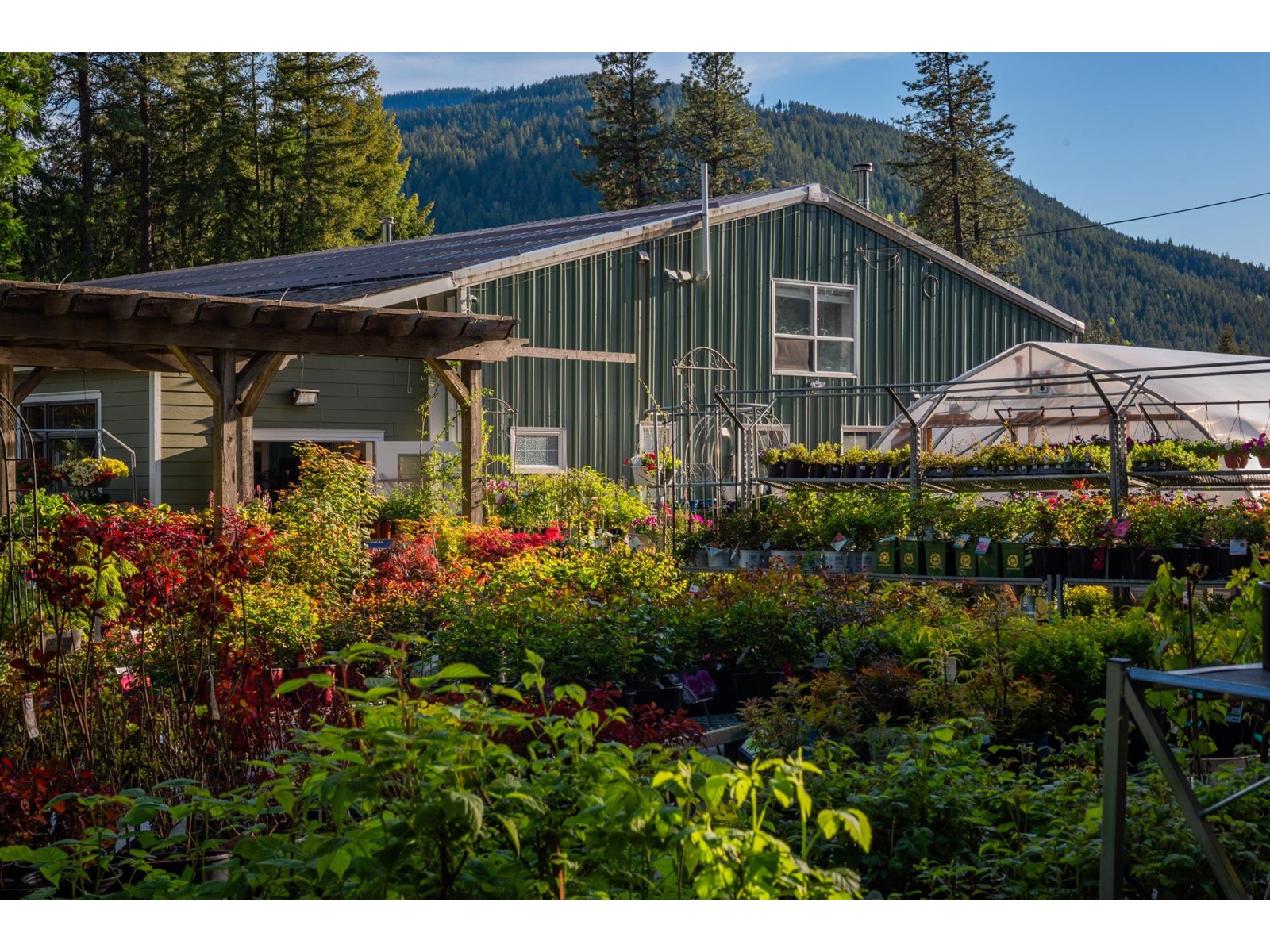 2811 Popoff Road, South Slocan To Passmore, British Columbia  V0G 2G1 - Photo 34 - 2477036