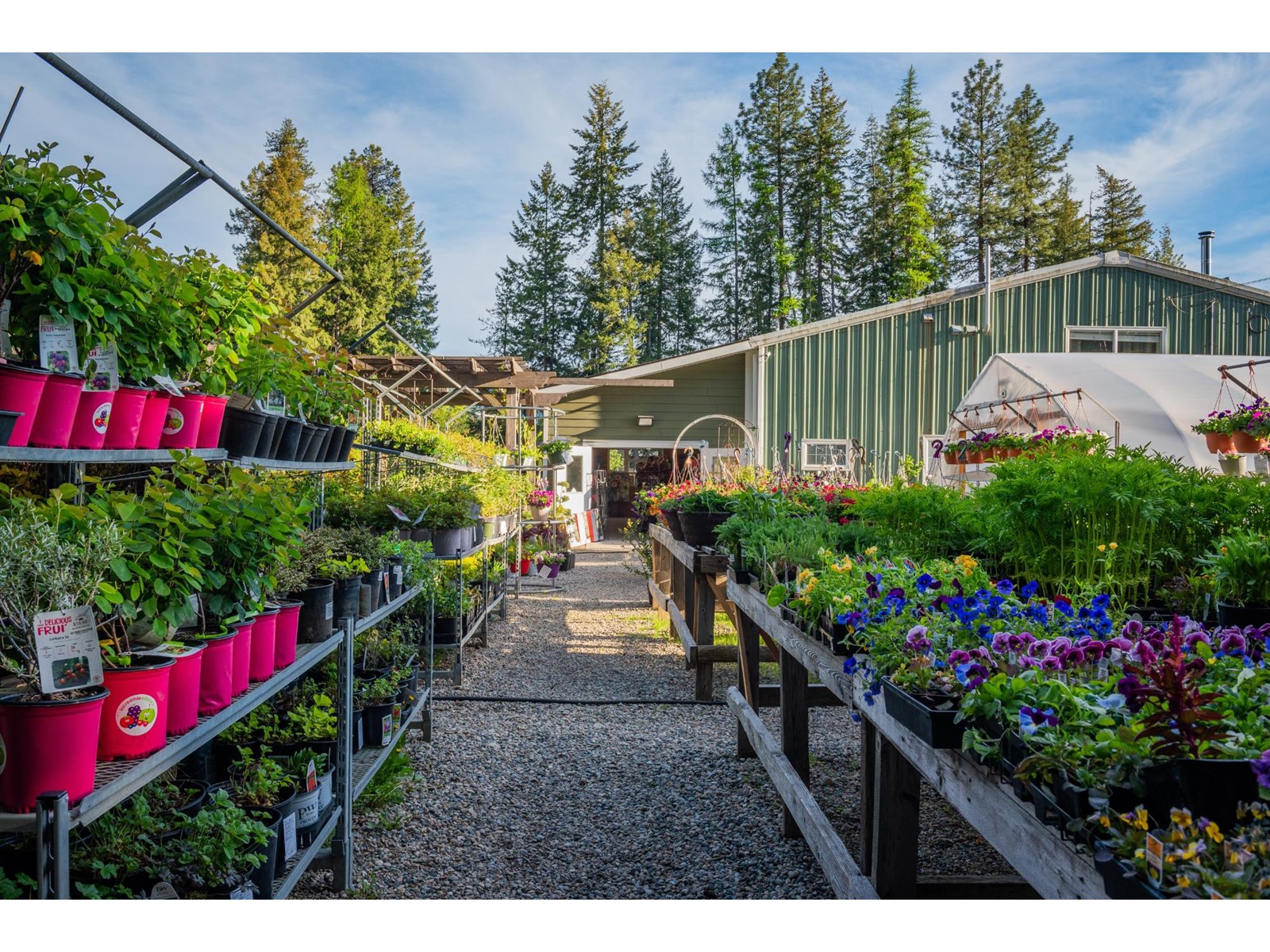 2811 Popoff Road, South Slocan To Passmore, British Columbia  V0G 2G1 - Photo 37 - 2477036